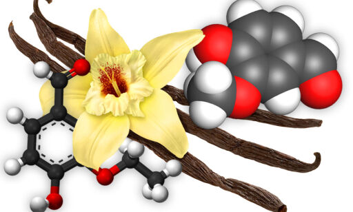 Myndighetene mener vanillin er vanilje