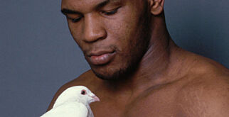 Mike Tyson kjøpte duer fra Roy (62) i Radøy for 140 000 kroner