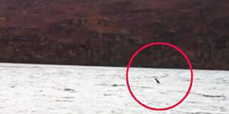 Lykkejegerne gir seg ikke: Nye påstander om sjøorm i Loch Ness
