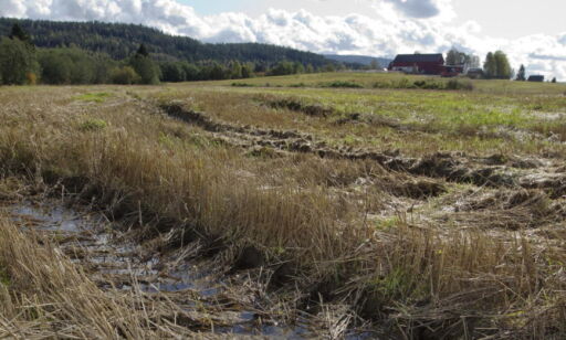 Advarer mot kornkrise