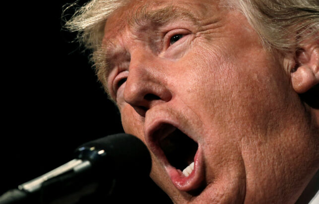 Trump snakket om trekant, puppene til dattera, og mensen-sex på radio-show