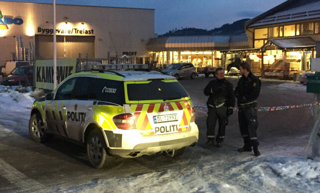 Siktet 22-åring forklarte seg i detalj om bestialsk drap