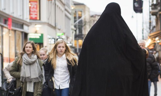 Hva vi ikke snakker om når vi snakker om håndhilsing og niqab