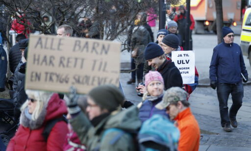 Mulig vei ut for regjeringen med svensk ulveløsning