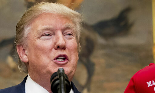 Amerikanske medier: Trump åpner for å gi millioner av ulovlige innvandrere lovlig opphold i USA