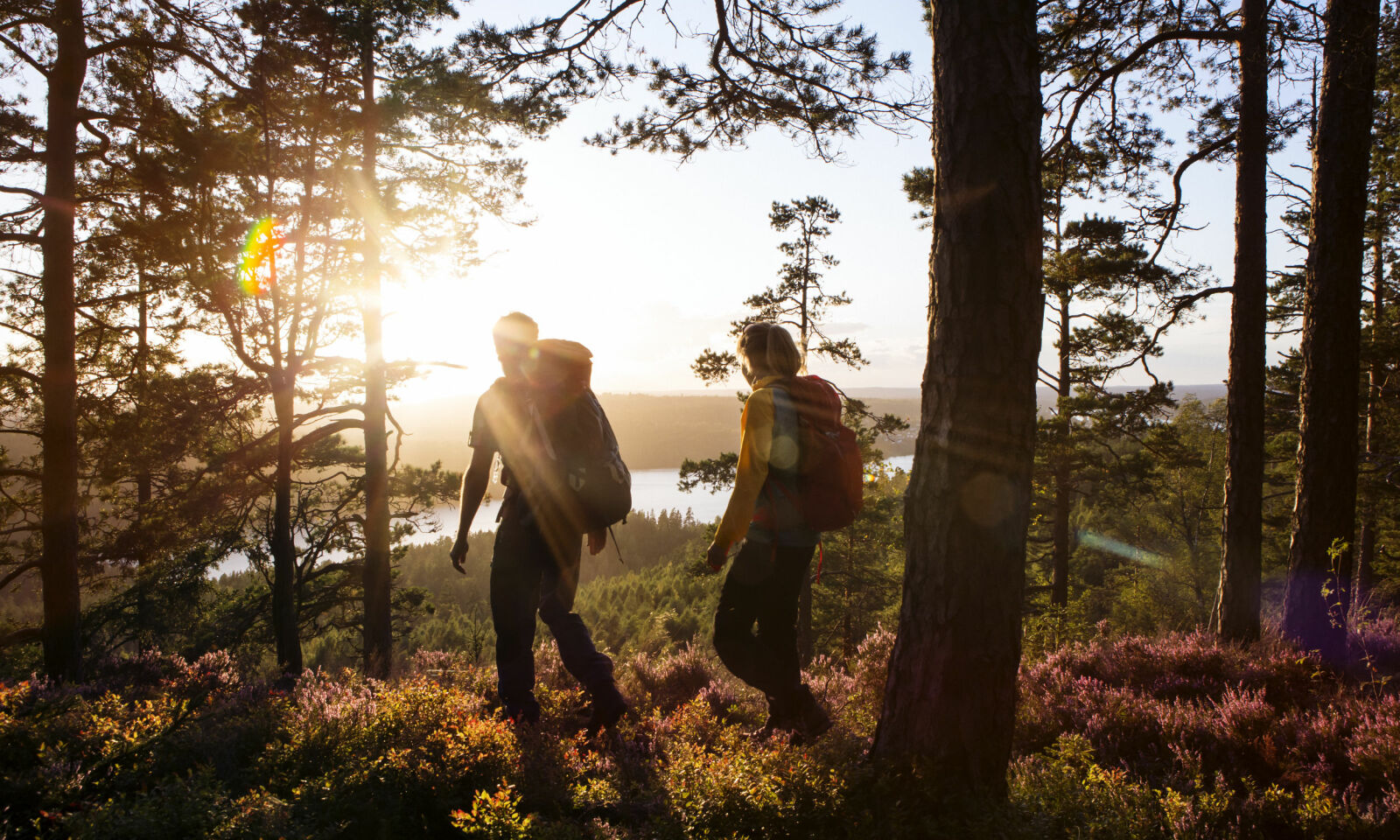 FANTASTISK FLOTT: Pilegrimsleden er vakker hele året, men kanskje ekstra vakker om høsten. Foto: Roger Borgelid FANTASTISK FLOTT: Pilegrimsleden er vakker hele året, men kanskje ekstra vakker om høsten. Foto: Roger Borgelid