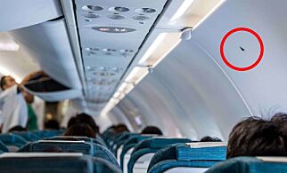 Dette betyr de små trekantene inne i flyet