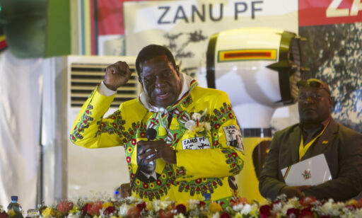 «Krokodillen» pekes ut som mulig Mugabe-erstatter