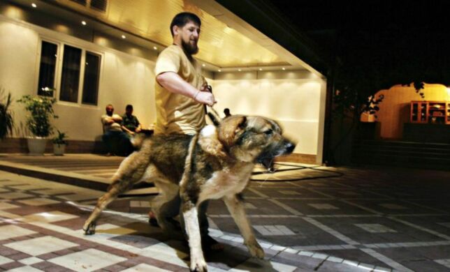 Han er Putins «pitbull»