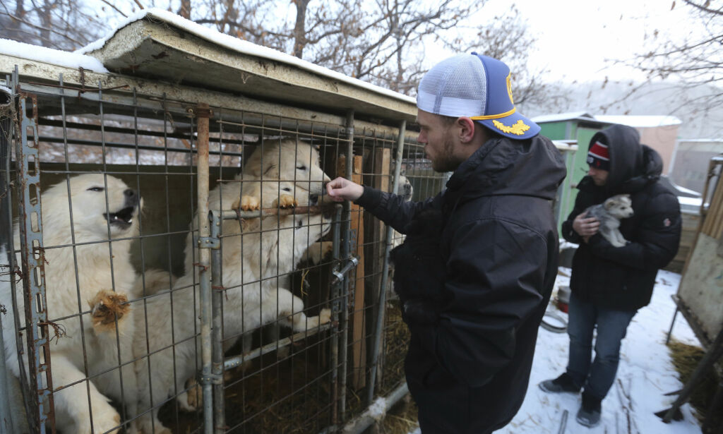 OL-stjerna Gus (26) var helt knust etter hundefarm-besøk - tok med seg valp hjem