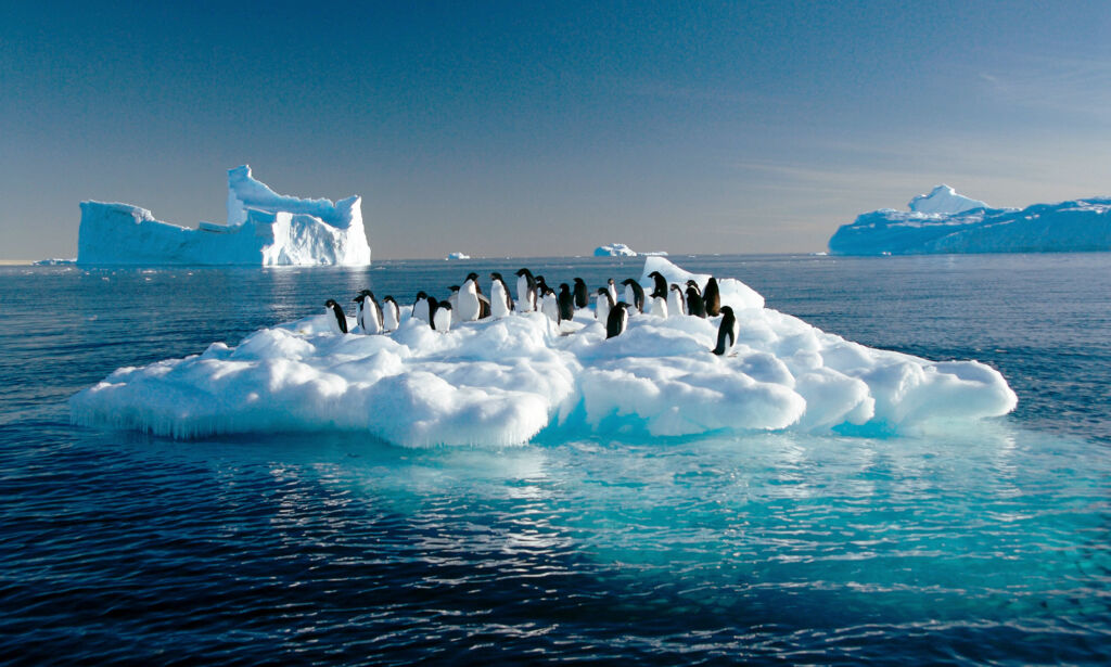 Adelie penguins drift on ice floe in the Southern Ocean off the Australian Antarctic Territory, 04 March 2007. The new glacial ice Wilkins Runway situated 65kms from the Australian research station of Casey will allow Australian scientists to greatly expand their studies on the effects climate change is having on Antarctica's fragile environment by providing 20-30 flights from Hobart each summer. AFP PHOTO/AUSTRALIAN ANTARCTIC DIVISION/Frederique OLIVIER