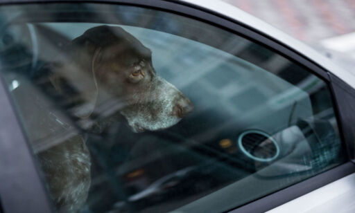 Så raskt kan bilen din bli en dødsfelle