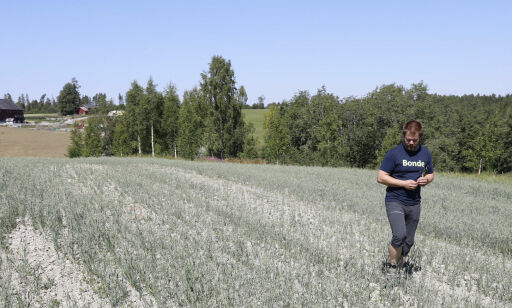 Nei til statlige krisepakker på grunn av vær