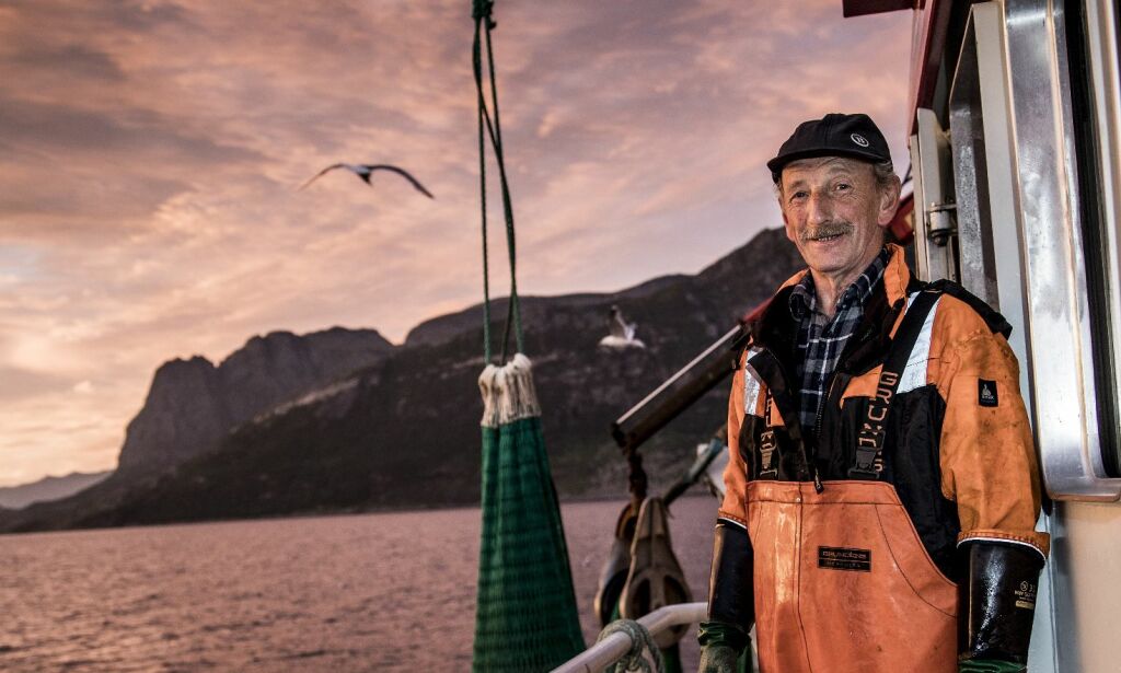 Dette tror forskerne er årsaken til at rekene forsvinner