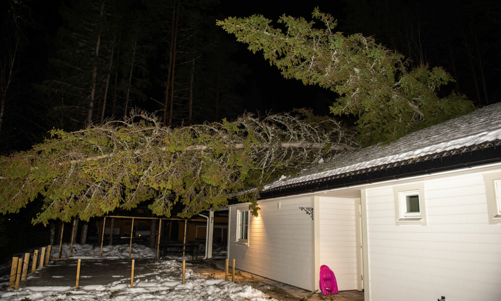 Trærne knakk som fyrstikker: - Utrygge i vårt eget hjem